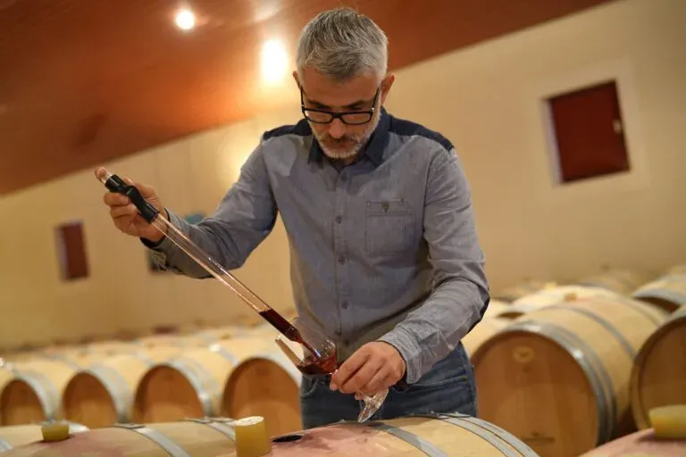 Vente de vin au domaine à Marlenheim