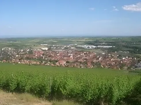 Viticulteur route des vins Alsace à Marlenheim